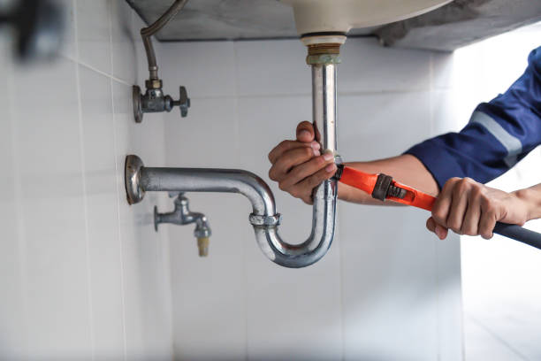 Best Drain Cleaning Services  in Langdon, ND