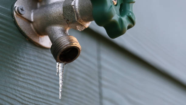 Best Plumbing Services Near Me  in Langdon, ND